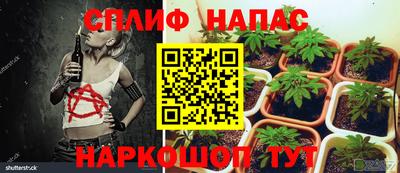 молекула духа Бузулук